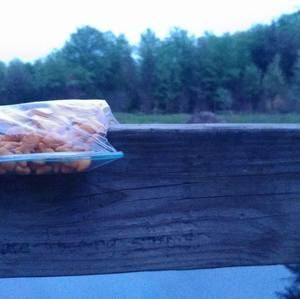 Meet your Posher, Kiam